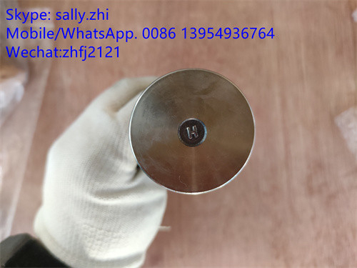 Válvula de escape de YUCHAI 4110000560144, recambios del motor del yuchai para el cargador LG936L de la rueda