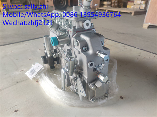 bomba de inyección 4110000991002 /13053063 para Weichai Deutz TD226B WP6G125E22, piezas del motor weichai