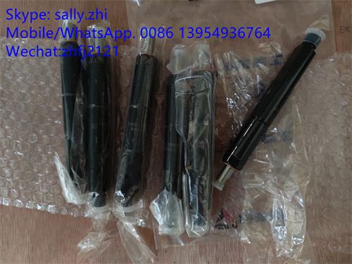 Inyector 4110000991004 /13053066 de SDLG para Weichai Deutz TD226B WP6G125E22, piezas del motor del weichai en venta