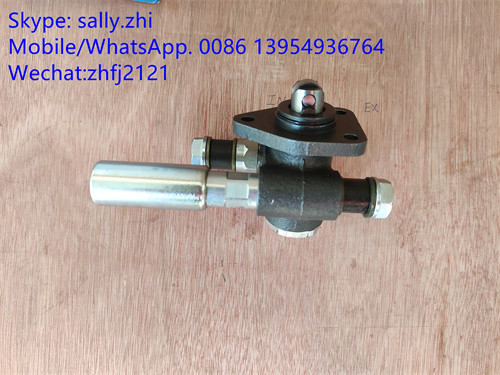 Bomba de mano de SDLG 4110000991053 /1000428779 para Weichai Deutz TD226B WP6G125E22, piezas del motor del weichai en venta