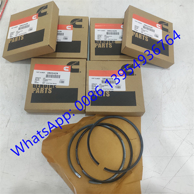 ARO del PISTÓN de CUMMINS 3802429 para los recambios de los cummins del、 de CUMMINS ENGINE 6CT