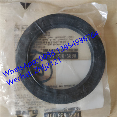 Las piezas SDLG para cargadores de ruedas LG936L/L956F/L958F/LG953