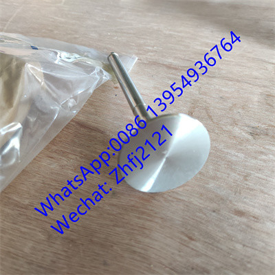 Válvula de escape SDLG 4110000556145, piezas de repuesto SDLG, cargador de ruedas SDLG LG936/LG956/LG958/LG953/LG968