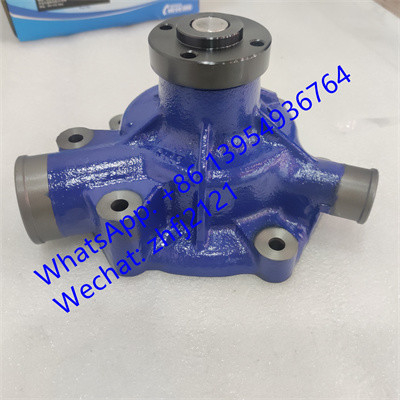 SDLG PUMPA DE AGUA 4110002360007/1000054019, piezas del motor weichai para el motor diésel de WEICHAI DHB06G0121/WP6G125E22