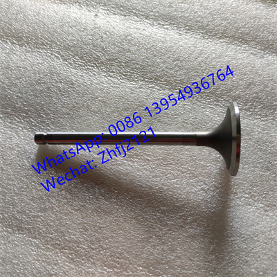 SDLG VALVA DE INTRACCIÓN 4110000560145, piezas de motor de yuchai para el motor de yuchai YC6B125-T10 ((B7626)