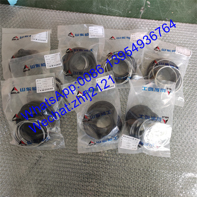 Kit de reparación de frenos SDLG 4120001739020, piezas del cargador SDLG para el cargador de ruedas LG936/LG956/LG958