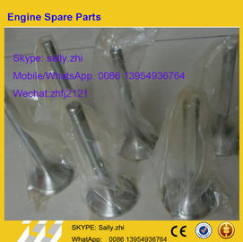 válvula de escape, 12159608 para el motor del weichai TD226B, piezas del motor del weichai en venta
