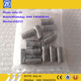 jaula original 0750119048, piezas del rodillo de la aguja de ZF de la transmisión de ZF para  transmisión 4wg180 del zf