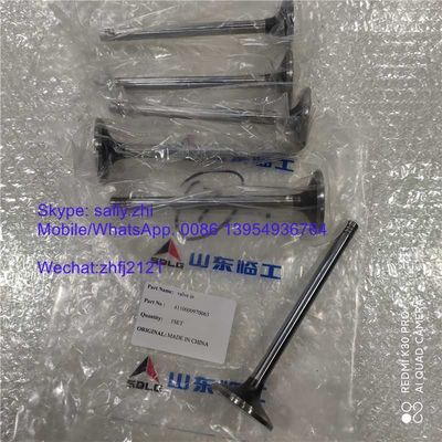 válvula original en 4110000970063, piezas del weichai del motor principales para el excavador LG6250E en venta